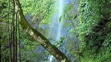 Detrás Del Diquis - Die Wahrheit Über Das Staudammprojekt