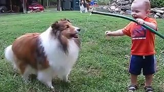 baby and dog play with hose