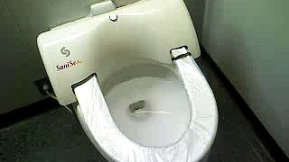 Sani Seat in O'Hare Bathroom