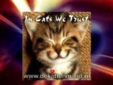 Kattenmand Dierenambulance/Dierenbescherming West-Alblasserwaard krf