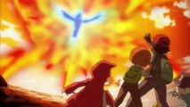 Pokemon XY Series Episode 85 Fight Talonflame(Evolution) VS Moltres