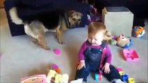 Funny Video of Babies Laughing at Dogs ★ Baby Club