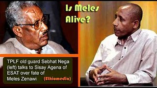 Sebhat Nega on fate of Meles Zenawi