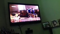perro de raza akita inu mirando la tv