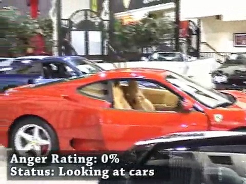 Fast Cars, Fast Women & Fast Food:Cat & Funny go to Vegas #7