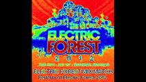 Electric Forest Mix Match 2012 - Mixcloud - DJ Pastrana