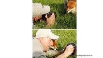 Animals taking photos of themselves - Crazy funny animal pictures