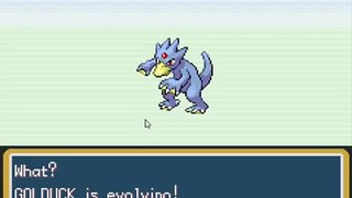 Pokemon Goldduck Evolution