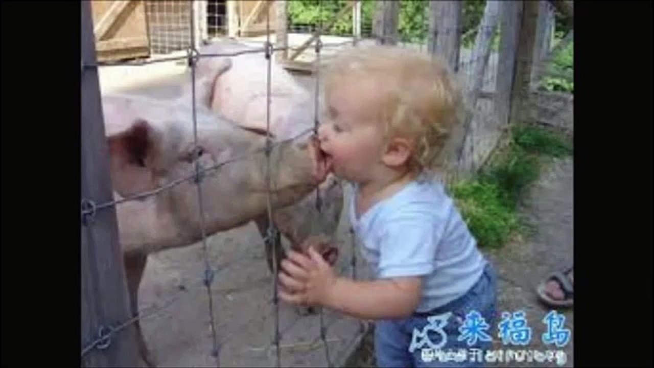 baby baby funny most
