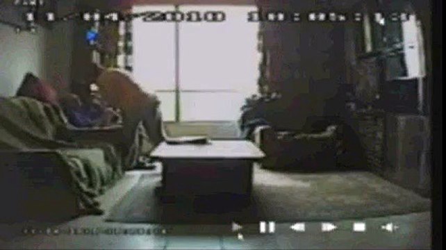 violenza su anziana: badante arrestata (caretaker arrested abuse elderly woman) - cose incredibili