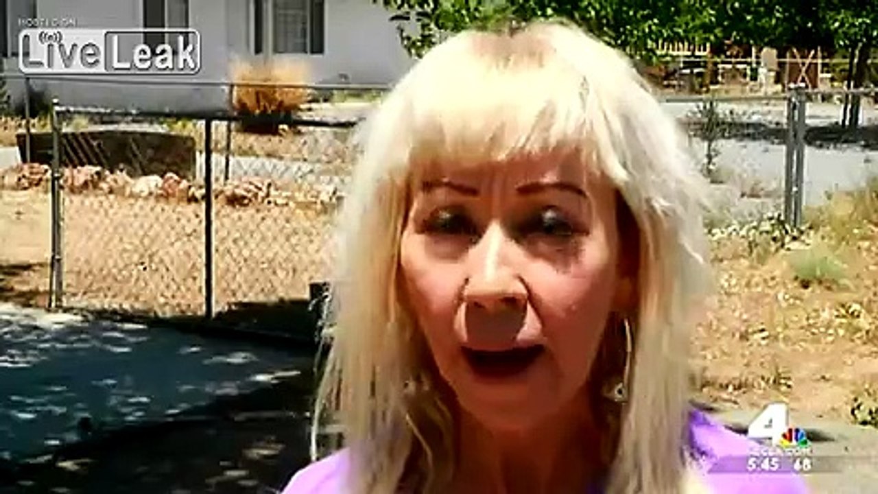 vicious pit bull stabbed to death by a woman in self defence