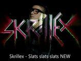 Skrillex - Slats slats slats (HQ)