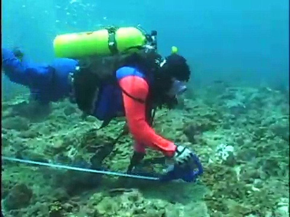 公共電視 我們的島 ─澎湖後花園