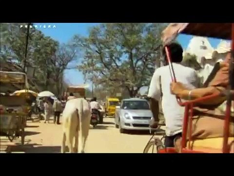 Hinduizm Buddyzm Tybet Hare Kryszna medytacja oświecenie reinkarnacja święte krowy lektor pl