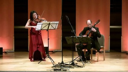 Franz Schubert "Arpeggione Sonate" 1. Allegro moderato Violine Gitarre