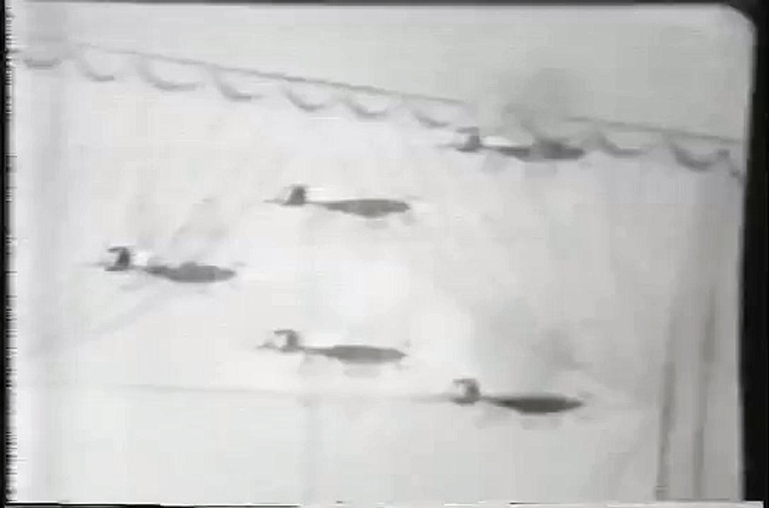 1515_RAID all kinds of bugs indoors killer funny cartoon vintage commercials_TV ads