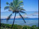 Amunuca Island Resort & Spa (Fiji Islands)