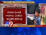 8 Children injured in stray dog attack in Warangal