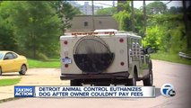 Woman says animal control euthanized her dog before she could pay