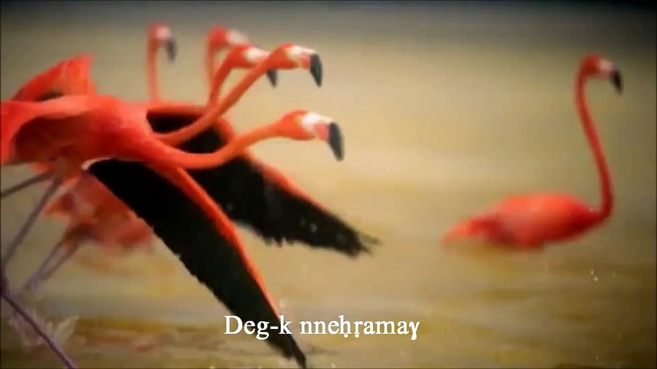 Malika YAMI Afrux-iw ( La chanson complète + paroles)