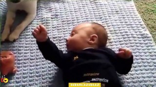 Baby CAt & Dog- Funny videos that will make you laugh so hard you cry