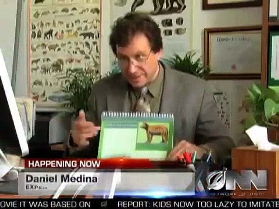 The Onion - Breaking News: Some Bullsh*t Happening Somewhere