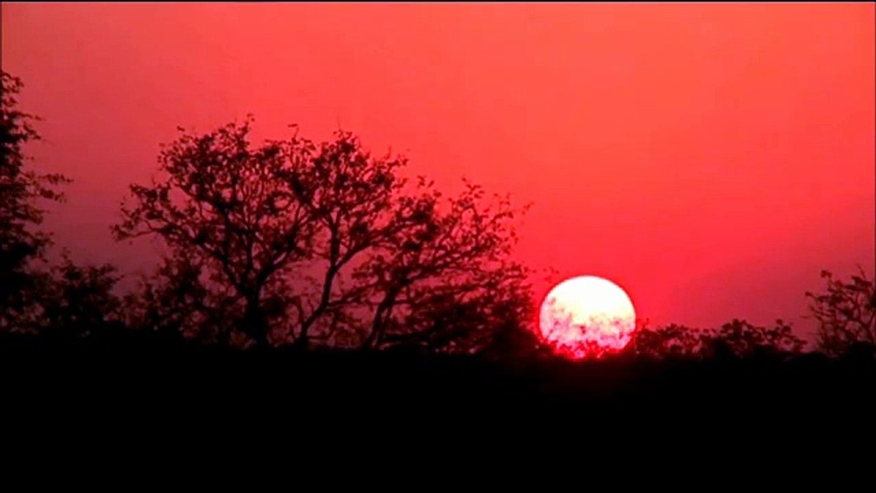 SafariLive May 16 Beautiful African sunset