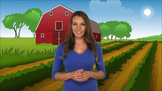 Farm Field And Barn Background Cartoon