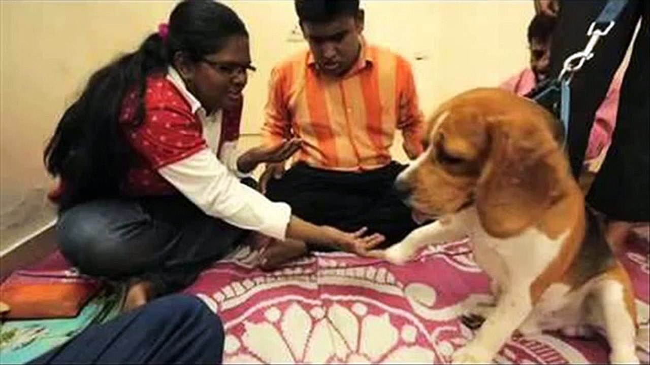 animal assisted therapy documentary