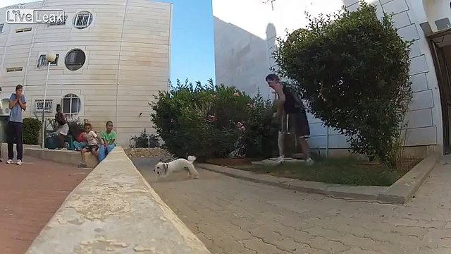 Parkour Gone Terribly Wrong (Barkour)
