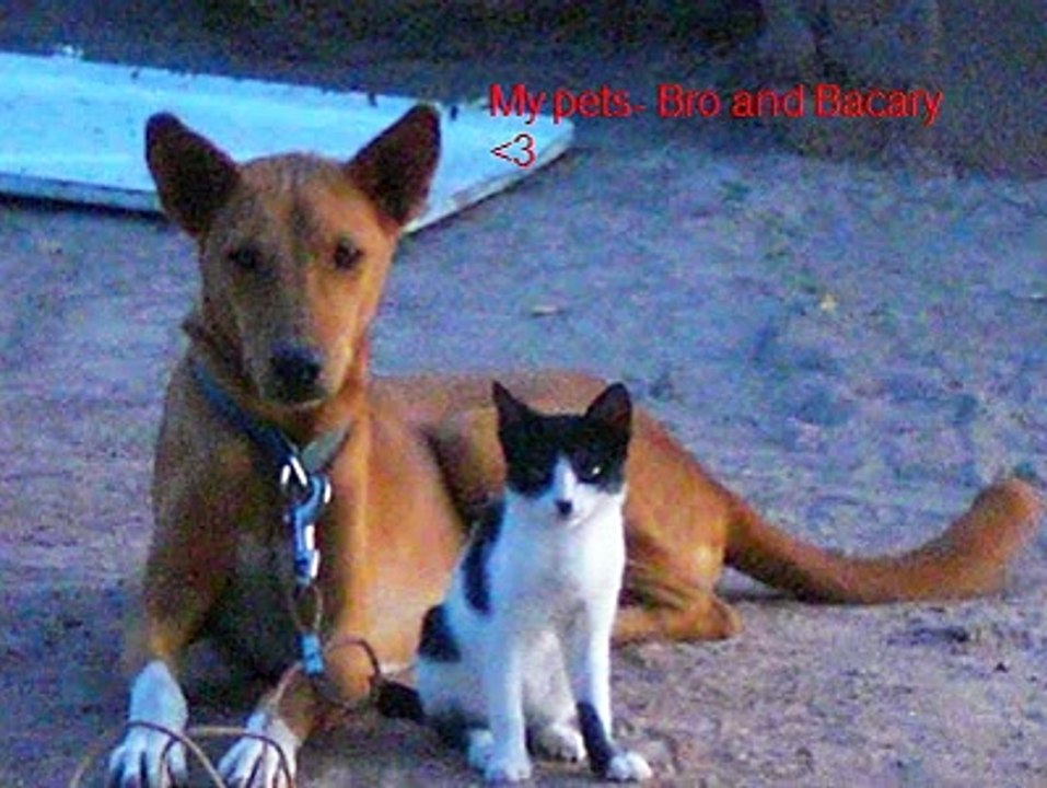 My Peace Corps Experience Mali, West Africa