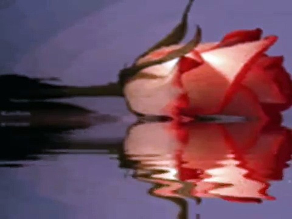 Separate Lives ~ Phil Collins  / Marilyn Martin