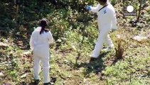 Μεξικό: Νέα έρευνα για την εξαφάνιση των 43 φοιτητών - Εξοργισμένοι και δύσπιστοι οι συγγενείς τους