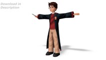 Harry Potter and the Chamber of Secrets video game- Harry Potter Model