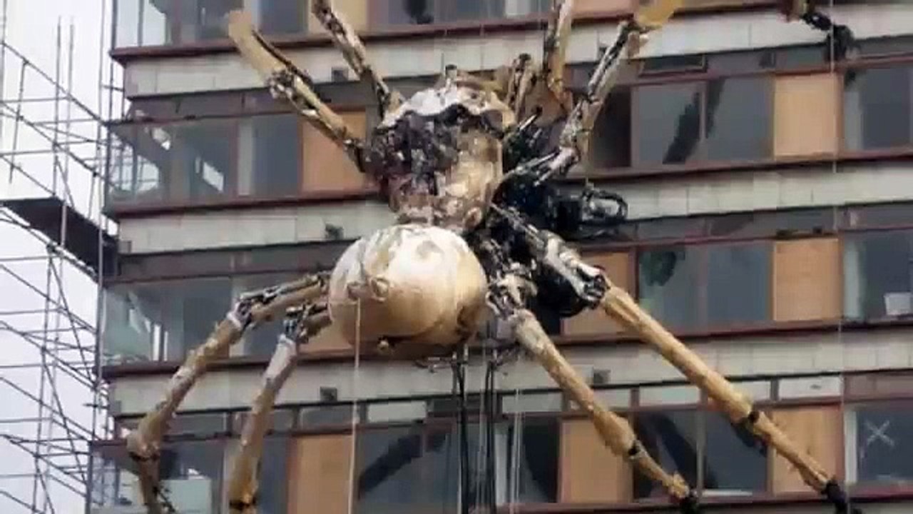 The Worlds BIGGEST Animals!