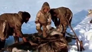 History Documentary │ Inuits fishing in the ice 1967 │Jigging for Lake Trout │