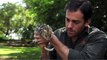 Wild Animal Encounters - Ben Britton - Eastern Quoll