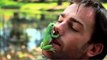 Wild Animal Encounters - Ben Britton - Green Tree Frog