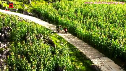 Tour du lịch Hà Giang giá rẻ - Hanoi Tourism