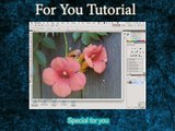 photoshop tutorials for beginners - Organizing Palettes Final