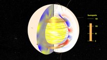 The Solar Dynamo: Toroidal and Radial Magnetic Fields