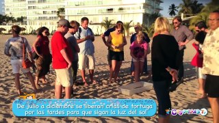 Liberación de Tortugas en Puerto Vallarta - México