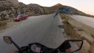 This Guy Races His Pet Parrot On A Motorcycle!