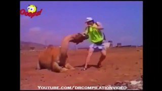 When Animal Attacks Human Compilation HD1