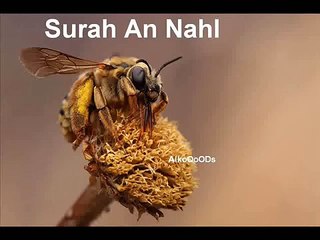 سورة النحل كامله . بصوت القارئ الشيخ عبدالولي الأركاني