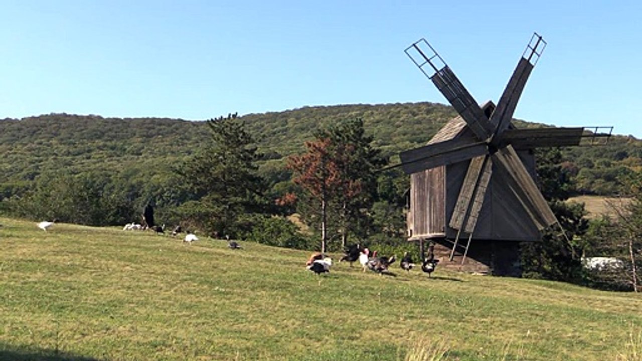 Windmills 9
