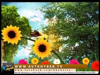 KHYBER SAHAR PEW ( 05-09-15 )