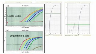 Troubleshooting qPCR