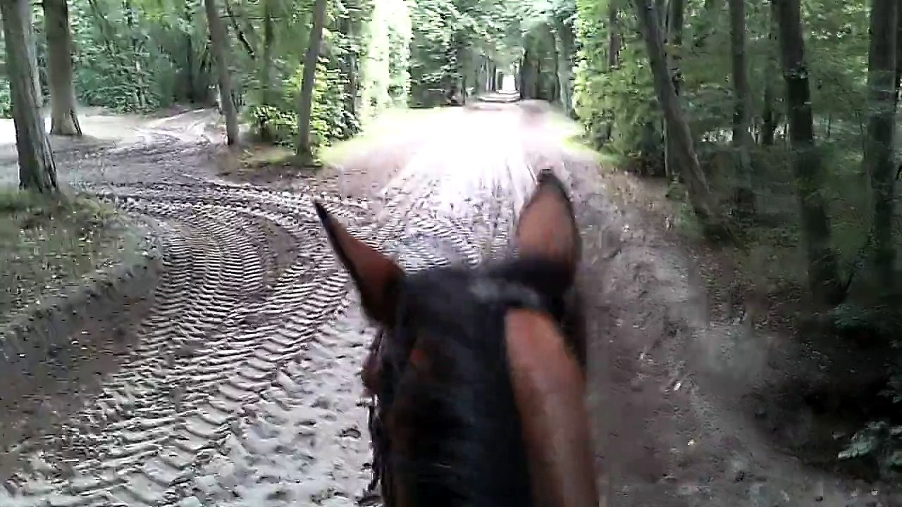 15-09-06 - Chantilly 2