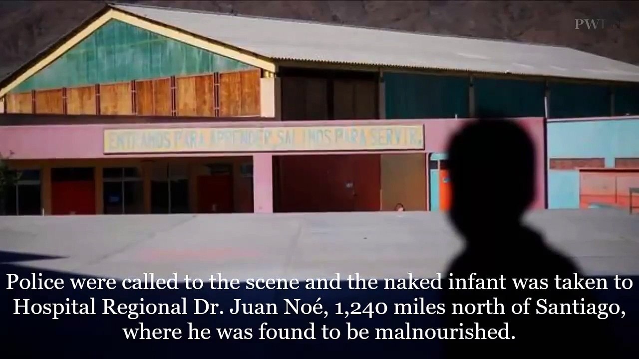 Une chienne sauve un enfant de 2 ans en le nourrissant avec son lait